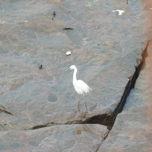 Photo #13696614