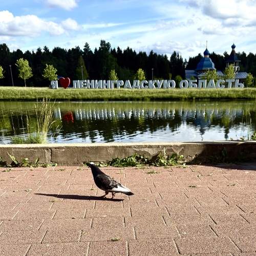Photo #13696663
