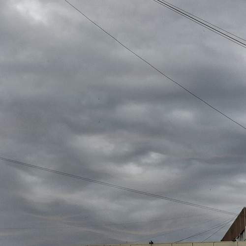 Photo #13696682