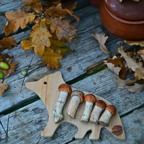 Photo #13696695