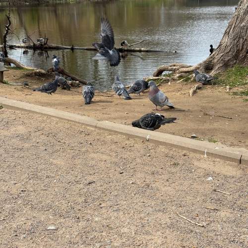 Photo #13696697