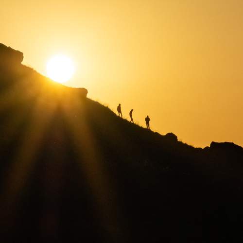 Photo #13696702