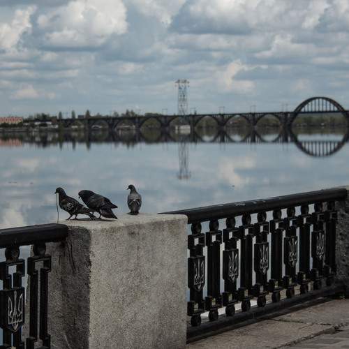 Photo #13696717