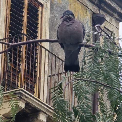 Photo #13696792