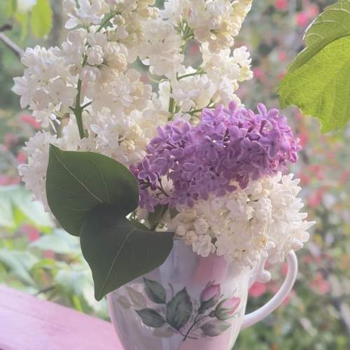 Photo #13696798