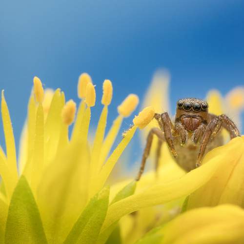 Photo #13696814