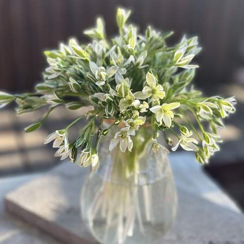 Photo #13696819