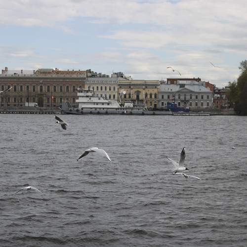 Photo #13696826