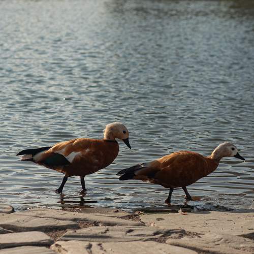 Photo #13696892