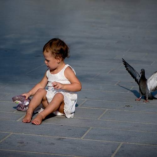 Photo #13697034