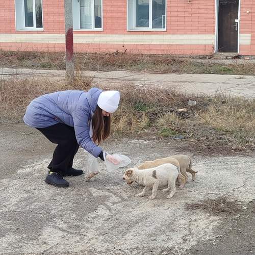 Photo #13697039