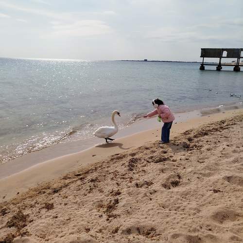 Photo #13697051