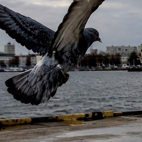 Urban Takeoff
