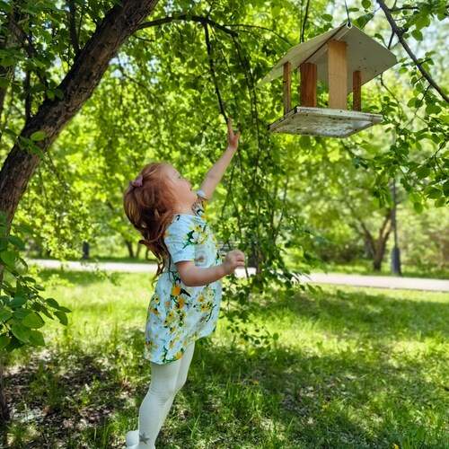 Ева