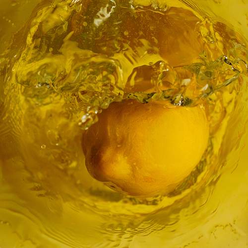 Photo #13697119