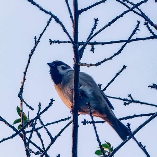 Photo #13697130