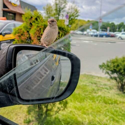 Photo #13697136