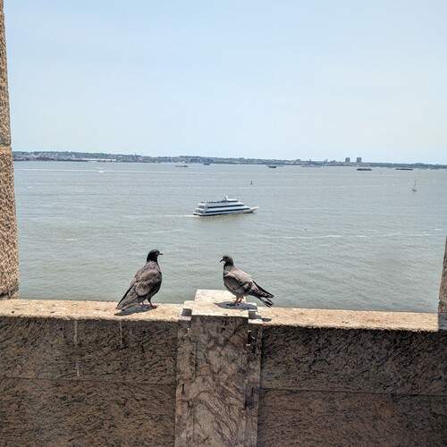 Photo #13697139