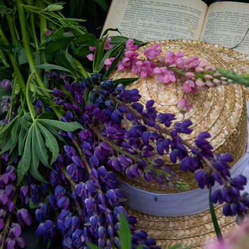 Photo #13697169