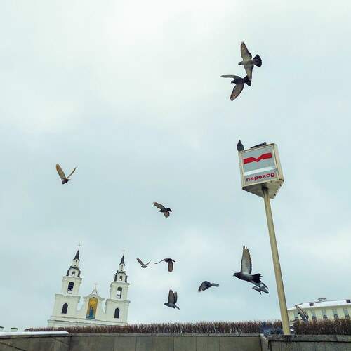 Photo #13697185