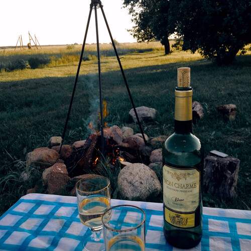 Photo #13697226