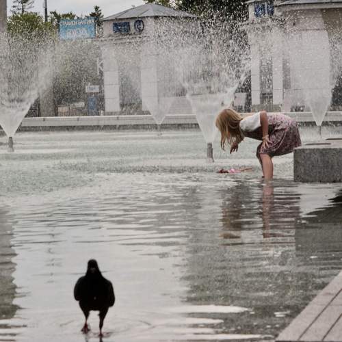 Photo #13697227