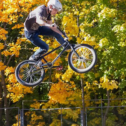 Photo #13697228