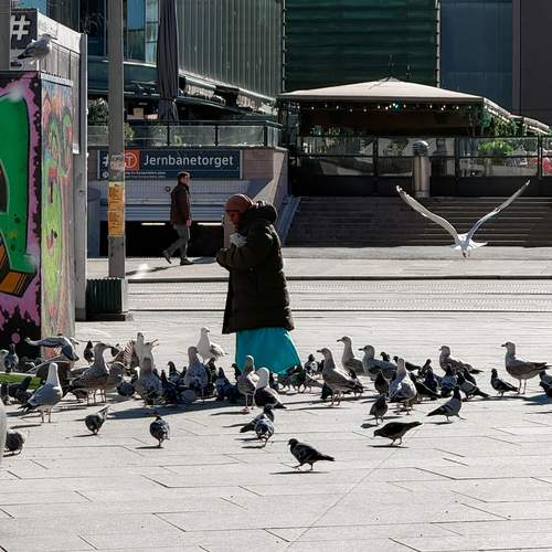 Photo #13697241