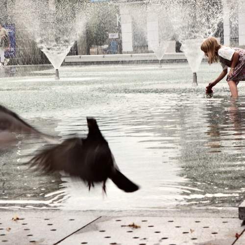 Photo #13697251