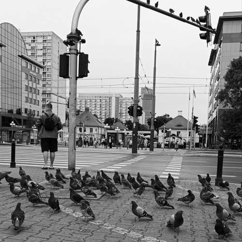 Photo #13697264