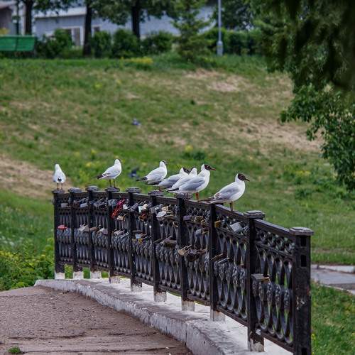 Photo #13697386