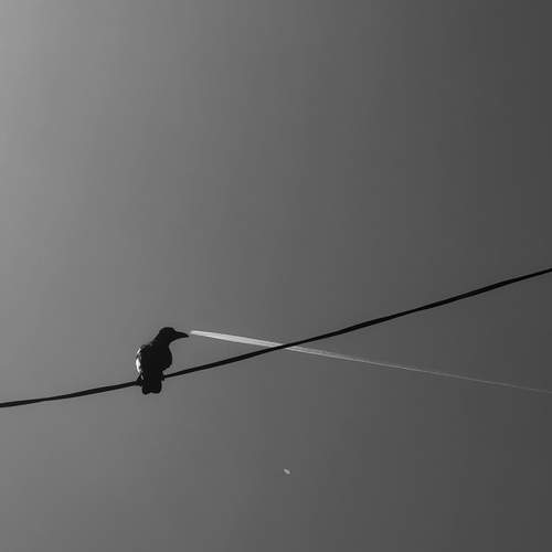 Photo #13697410