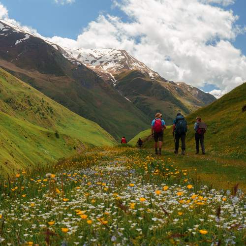 Photo #13697439