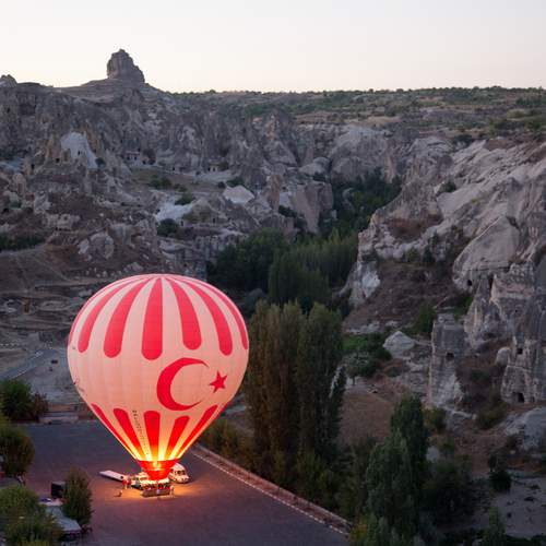 Photo #13697510