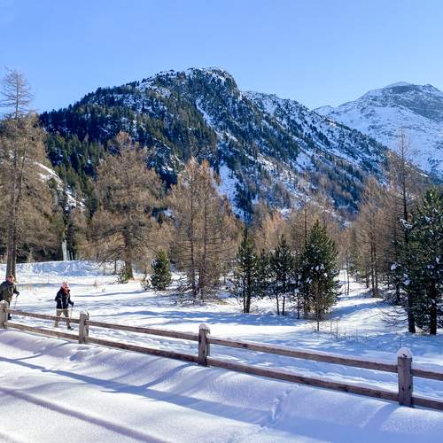 Photo #13697620