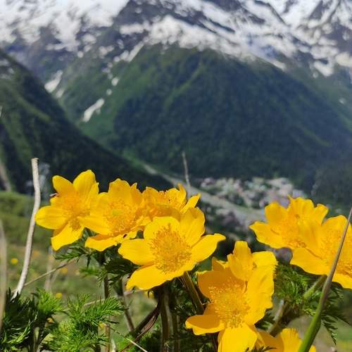 Photo #13697708