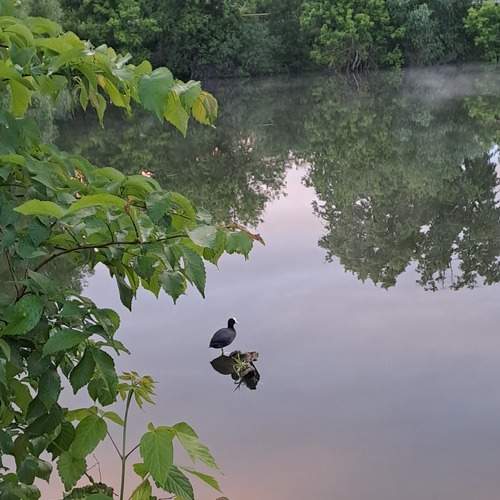 Photo #13697737
