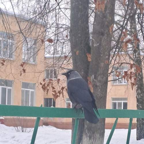 Photo #13697740