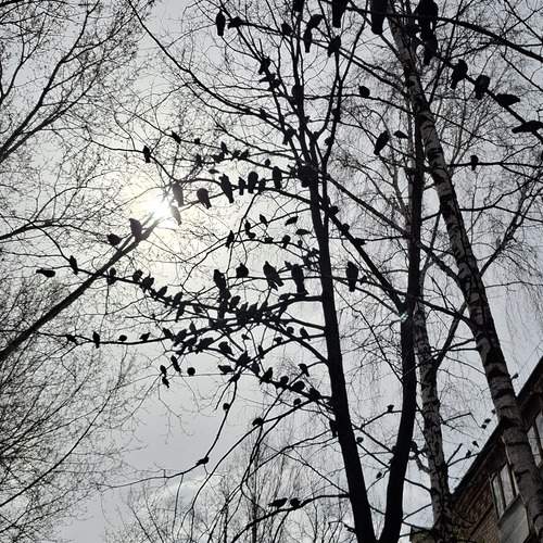 Photo #13697749