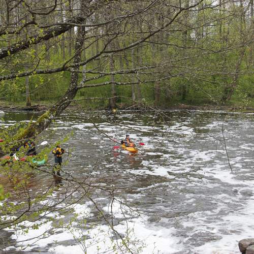 Photo #13697811