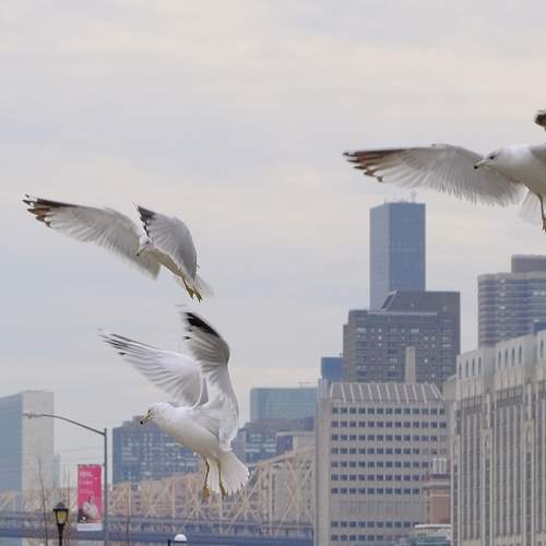 Photo #13697824