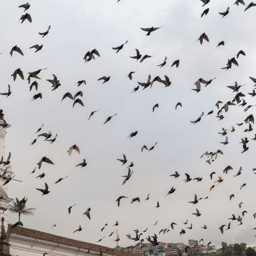 Photo #13697845