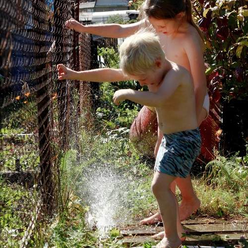 Photo #13697864