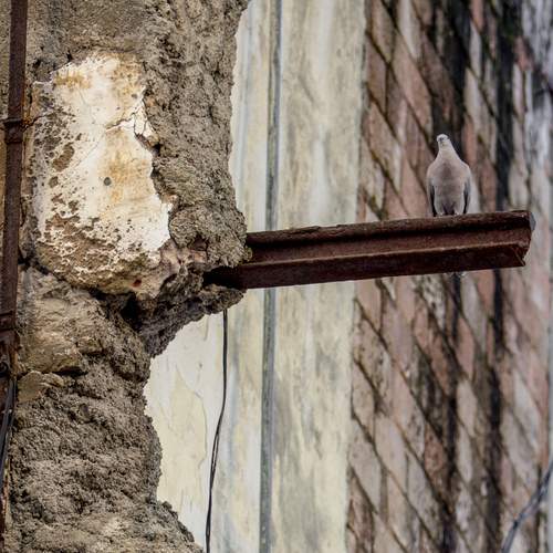 Photo #13697883