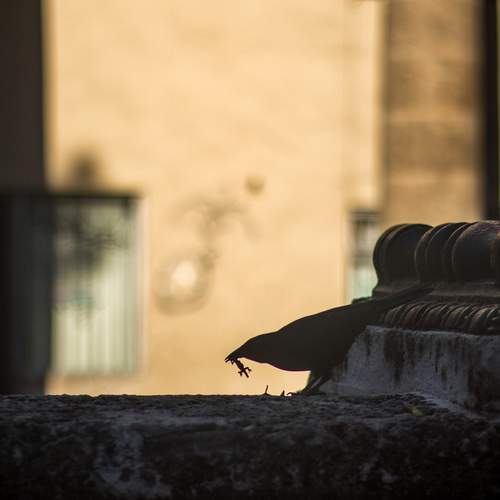 Photo #13697887
