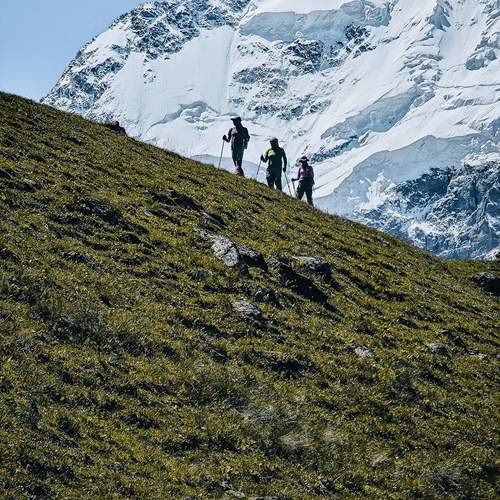 Photo #13697932
