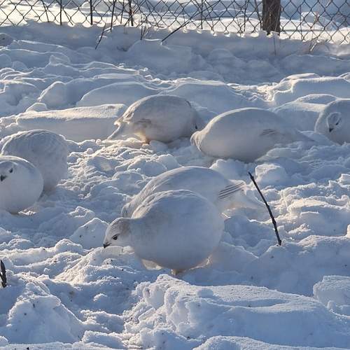 Photo #13697935