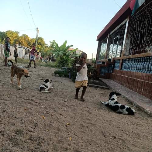 Photo #13697961