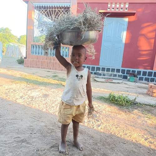 Photo #13697964