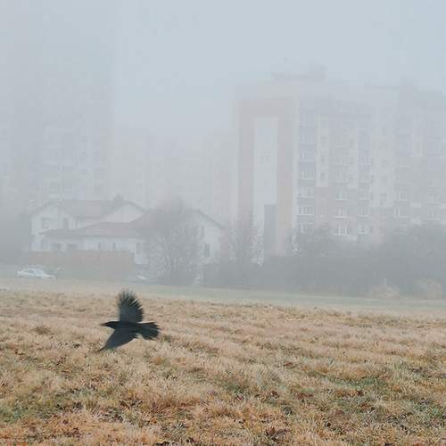 Photo #13697965